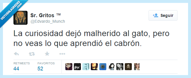 curiosidad,dejo,dejar,malherido,matar,gato,aprender,aprendio