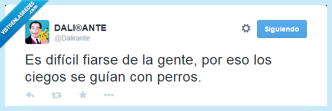 dalirante,twitter,perros,ciegos,animales,guiar,fiar