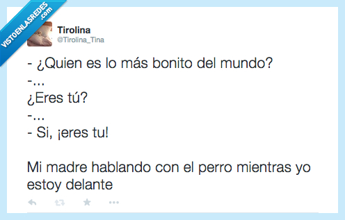 madre,perro,gato,amor,guapo,ignorar,hijos