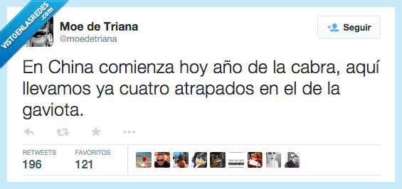 comenzar,comienza,año nuevo,cabra,china,españa,llevar,llevamos,atrapados,gaviota,PP,4 años