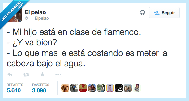 hijo,clase,flamenco,baile,animal,meter,cabeza,debajo,agua