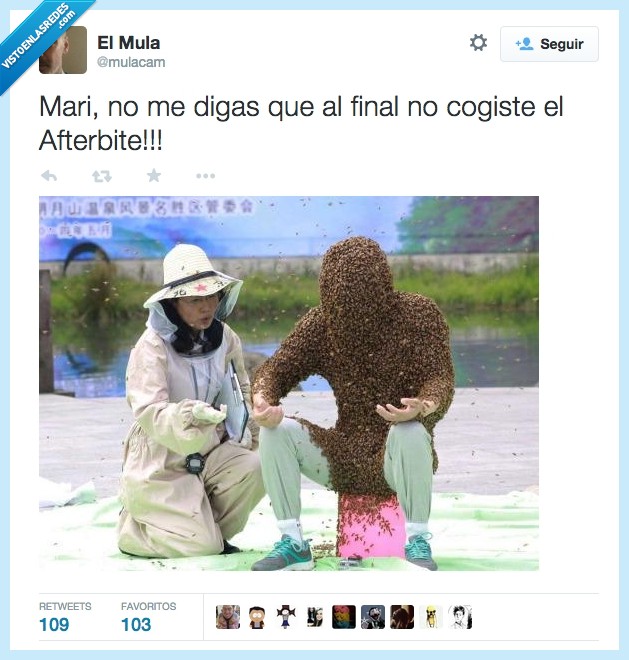 afterbite,picadas,pareja,bichos,abejas