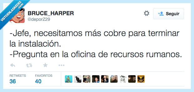jefe,necesitamos,necesitar,cobre,oficina,recursos,humanos,rumanos