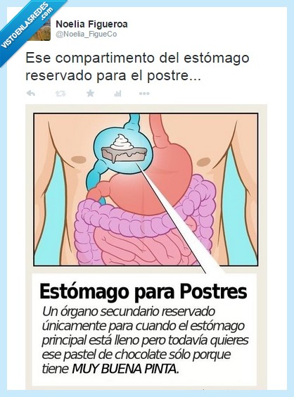 Estómago,reservado,postre,compartimento,espacio