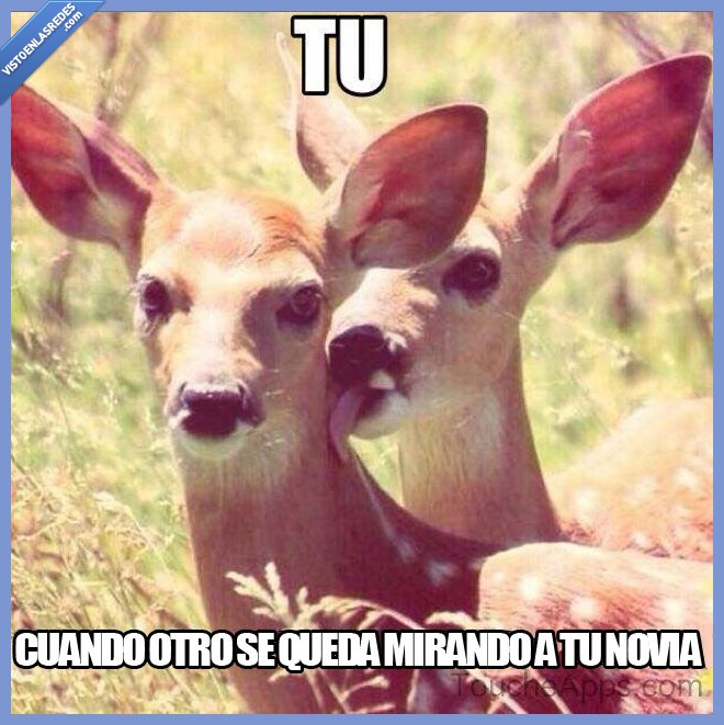 lengua,novia,mirar,otro,lamer,ciervo,marcar,territorio,esta está pillada