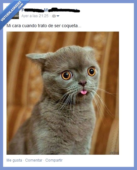 cara,coquetear,tratar,gato,gata,seducir,coqueta,trato,fail