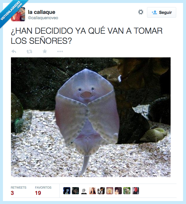 manta,raya,pez,manos,camarero,señores,tomar,preguntar