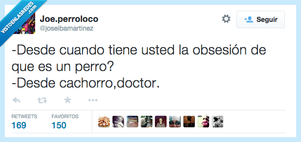 desde,cuando,sentimiento,obsesion,perro,cachorro,doctor,psiquiatra