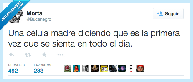 célula,madre,decir,diciendo,primera,vez,sentarse,sienta,día,típico
