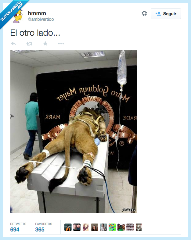 león,prueba,médica,hospital