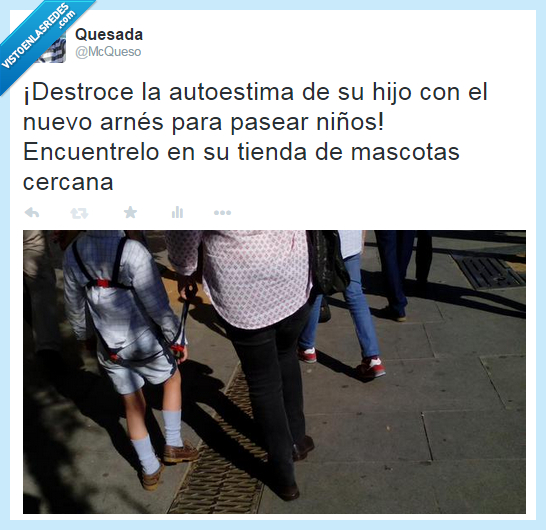 Semana Santa,arnés,mascota,autoestima,niño,llevar,perder