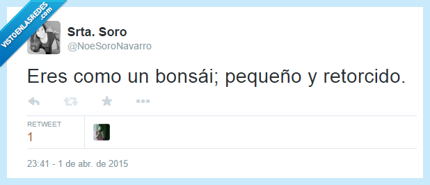 borde,bonsai,amigos,retorcido,parecido,zas,pequeño