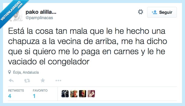 cosa,mala,vecina,pagar,carnes,favor,chapuza,carne,congelador,nevera,vaciar