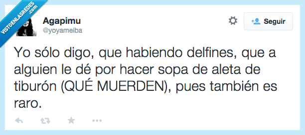 solo,digo,habiendo,haber,delfines,aleta,tiburon,muerden,morder,raro,ganas,cocinar,sopa,chinos