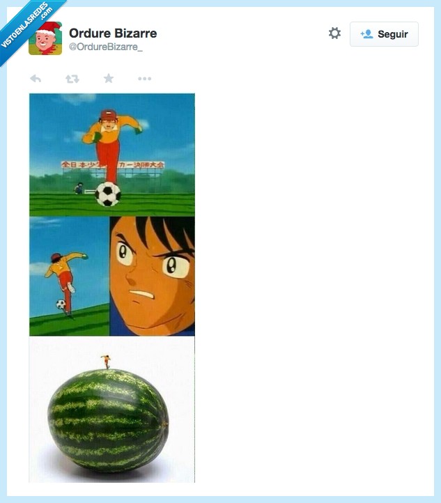 Oliver y Benji,campo,infinito,misterio,correr,sandía,resuelto,sentido,locura