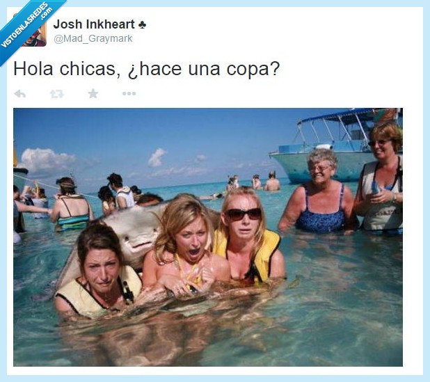 manta,raya,ligar,pegajoso,chicas,copa,invitar,pesado,discoteca,huir,pescado,pez,miedo