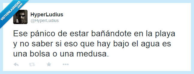 Agua,medusa,playa,bolsa,miedo,tocar