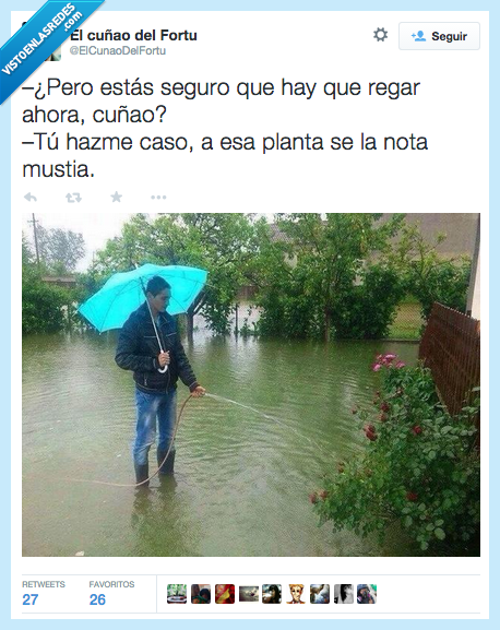 estar,estás,seguro,hay,regar,ahora,cuñao,hacer,hazme caso,planta,mustia