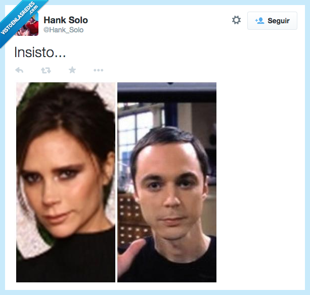 parecidos,iguales,Victoria Beckham,Jim Parsons,Sheldon Cooper,bazinga