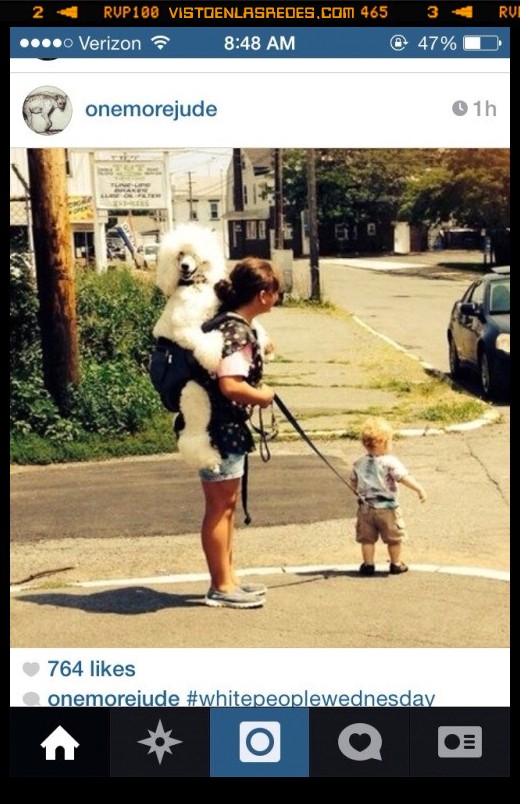 hijo,perro,correa,cargar,llevar,mochila,atar,whitepeoplewednesday