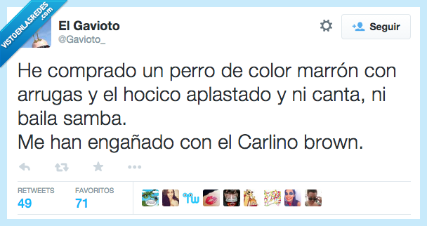 comprar,comprado,perro,marrón,arrugas,hocico,aplastado,ni,cantar,canta,bailar,baila,samba,engañado,Carlino Brown,Carlinhos Brown