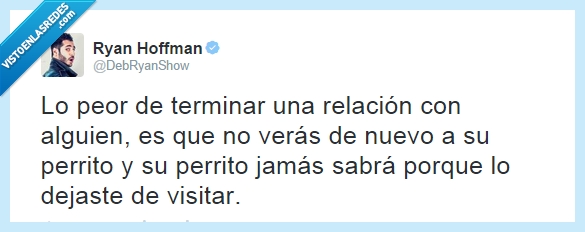 perrito,triste,siempre pasa,novio,novia,cortar,pareja,ver,volver,dejar,visitar