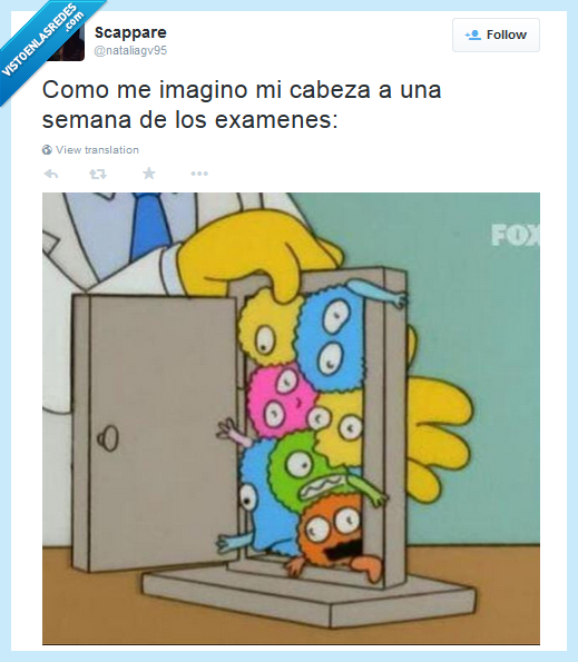 examenes,finales,simpsons,burns,informacion,entrar,toda,cabeza