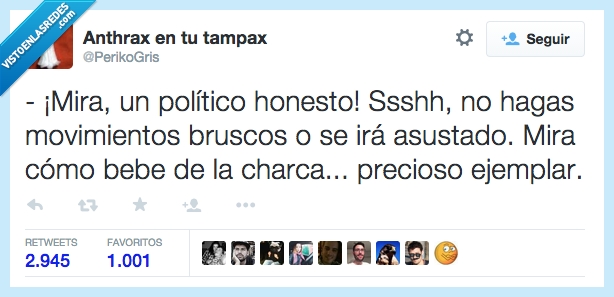 politico,mira,honesto,movimiento,brusco,asustado,animal,unico,bebe,charca,precioso,ejemplar