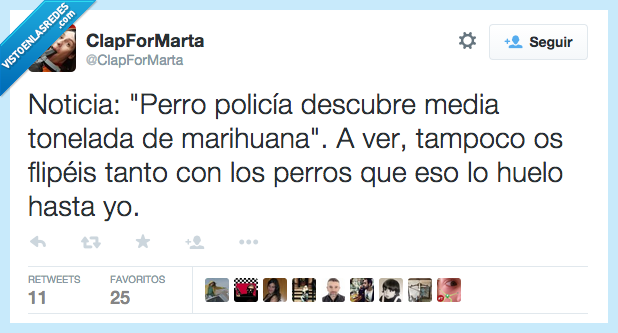 noticia,perro,policia,descubre,media,tonelada,maria,flipeis,flipar,yo,olor