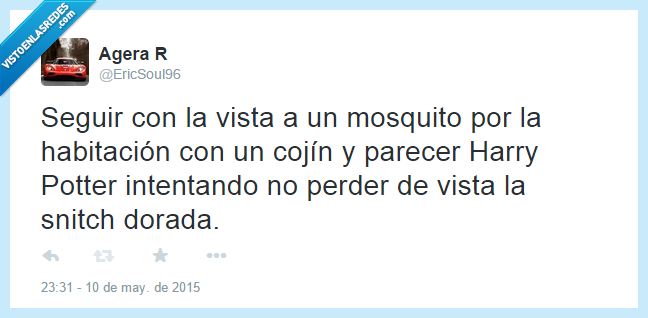mosquito,quidditch,harry potter,tweet,seguir,mirada,sentir,snitch,dorada