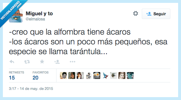 creo,alfombra,acaros,tarantura,pequeña,pequeño,araña,gigante,asco,limpiar,animal