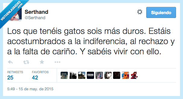 gato,más,duro,acostumbrado,costumbre,acostumbrar,indiferencia,rechazo,falta,cariño,vivir,ignorar,los gatos son así