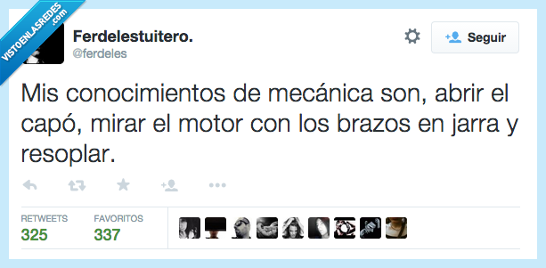 conocimientos,mecanica,mirar,abrir,capo,motor,brazos,jarra,resoplar