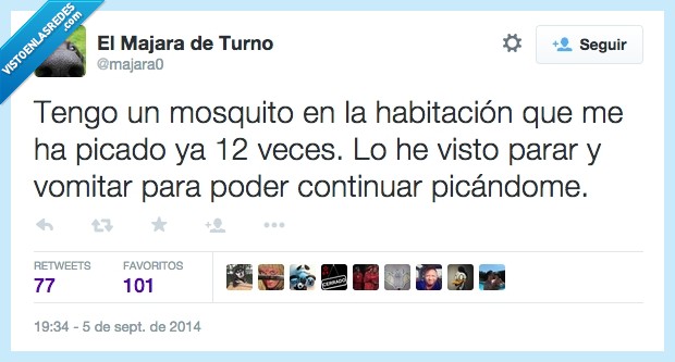 mosquito,habitacion,picado,picar,12,veces,parar,vomitar,más