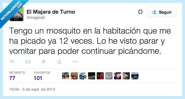 414113 - Malditos mosquitos por @majara0