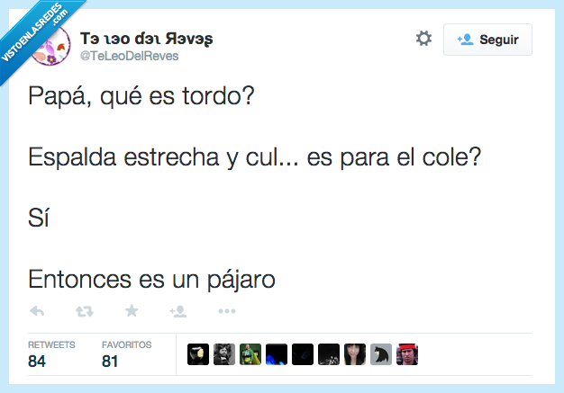 todo,gordo,espalda,estrecha,ave,clase,colegio,pregunta,padre,hijo,papa,preguntar