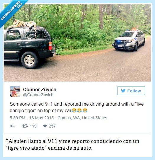 tigre,peluche,gigante,muñeco,juguete,encima coche,policia,troll,trollear