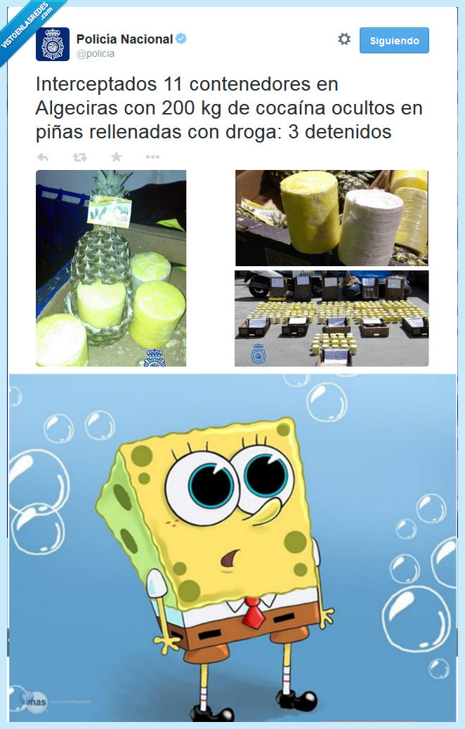 bob esponja,droga,policia,toa' la coca primoh,coca,piña,buen metodo,esconder,escondido,alijo