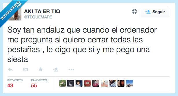 tan,andaluz,vago,dormir,ordenador,pregunta,siesta,cerrar,pestaña,ojos
