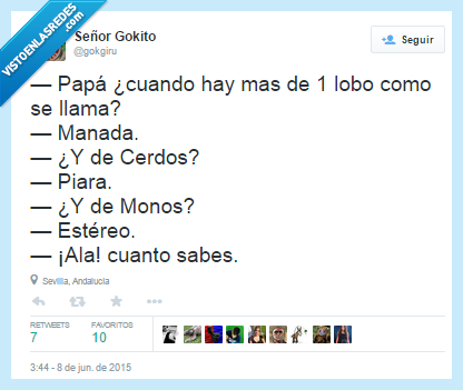 Papá,mono,estéreo,música,cascos,auriculares,más,lobo,manada,cerdo,piara,listo,hijo,padre