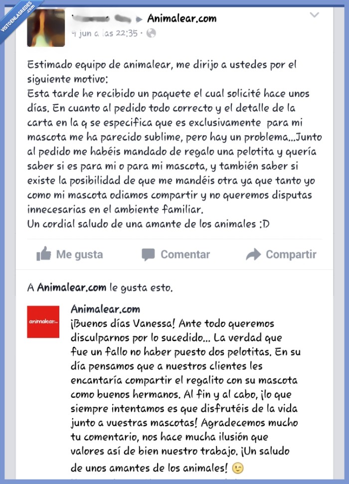 compartir,mascota,animalear,perrito,perro,pelota,juguete,cliente,respuesta