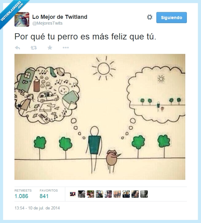 perro,feliz,sueño,deseo,hombre,persona,pensar,felicidad,momento,preocupacion,pensamiento