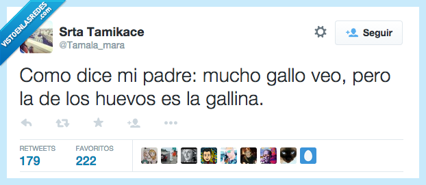 gallo,huevo,gallina,veo,refran,padre