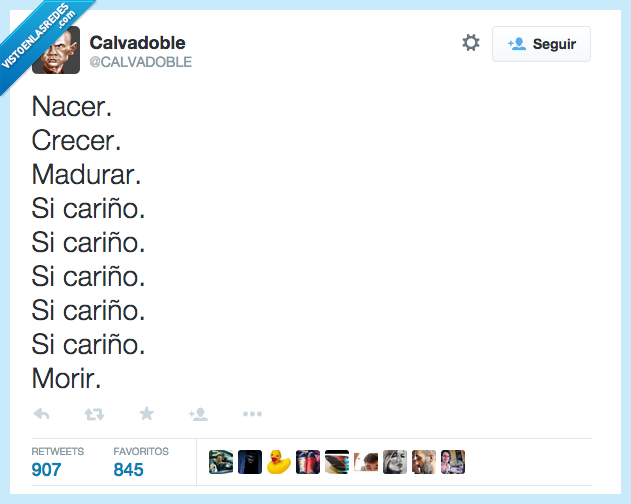 nacer,crecer,ciclo,vida,madurar,si cariño,calzonazos,pareja,novio,novia,morir