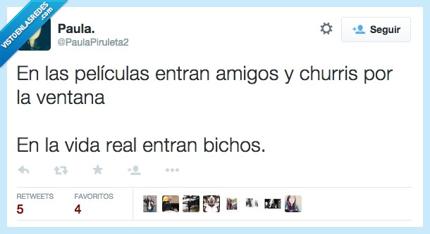 películas,amigos,churris,ventana,ligue,ligar,bicho,mosquito