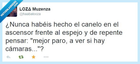 canelo,hacer el tonto,ascensor,espejo,descubrir,cámaras,mirar,ver