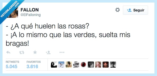 huelen,rosas,verdes,bragas,interior,oler