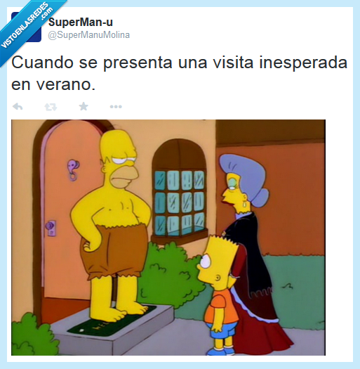 los simpsons,homer,bart,visita,inesperada,verano,sin pantalones