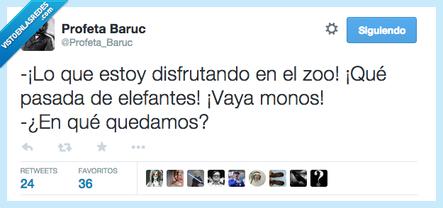 disfrutando,disfrutar,zoo,elefante,pasada,mono,quedamos,quedar