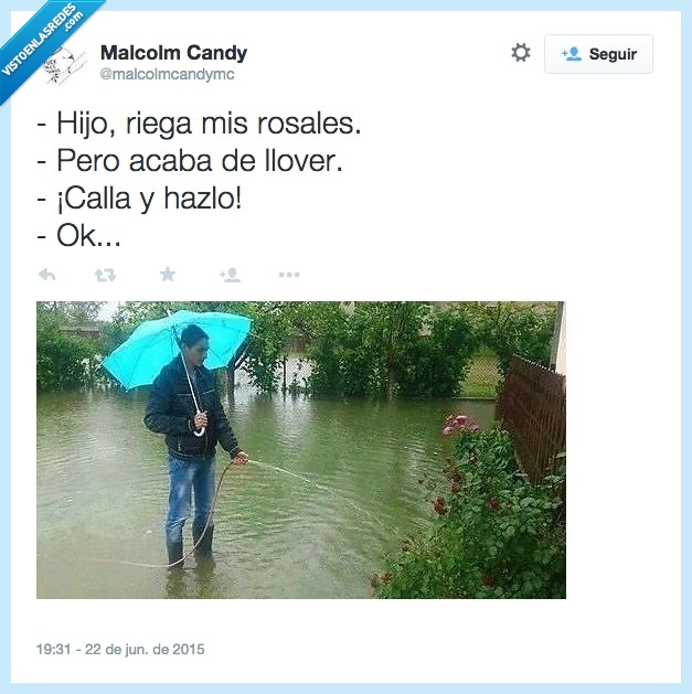 madre,regar,rosal,lluvia,manguera,inundacion